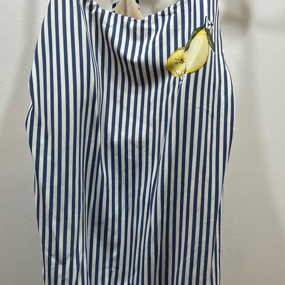 Swim By Cacique Swim Top Tankini Size 16 Lemons